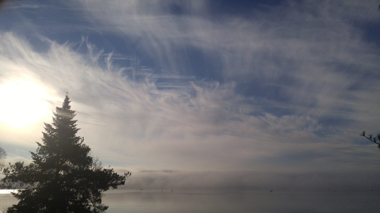 20211113_083122